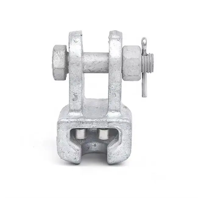 China Manufacturer Hot-dip Galvanized WS Type Socket Eyes Clevis Stainless Steel Connector with Nuts Overhead Line Fittings