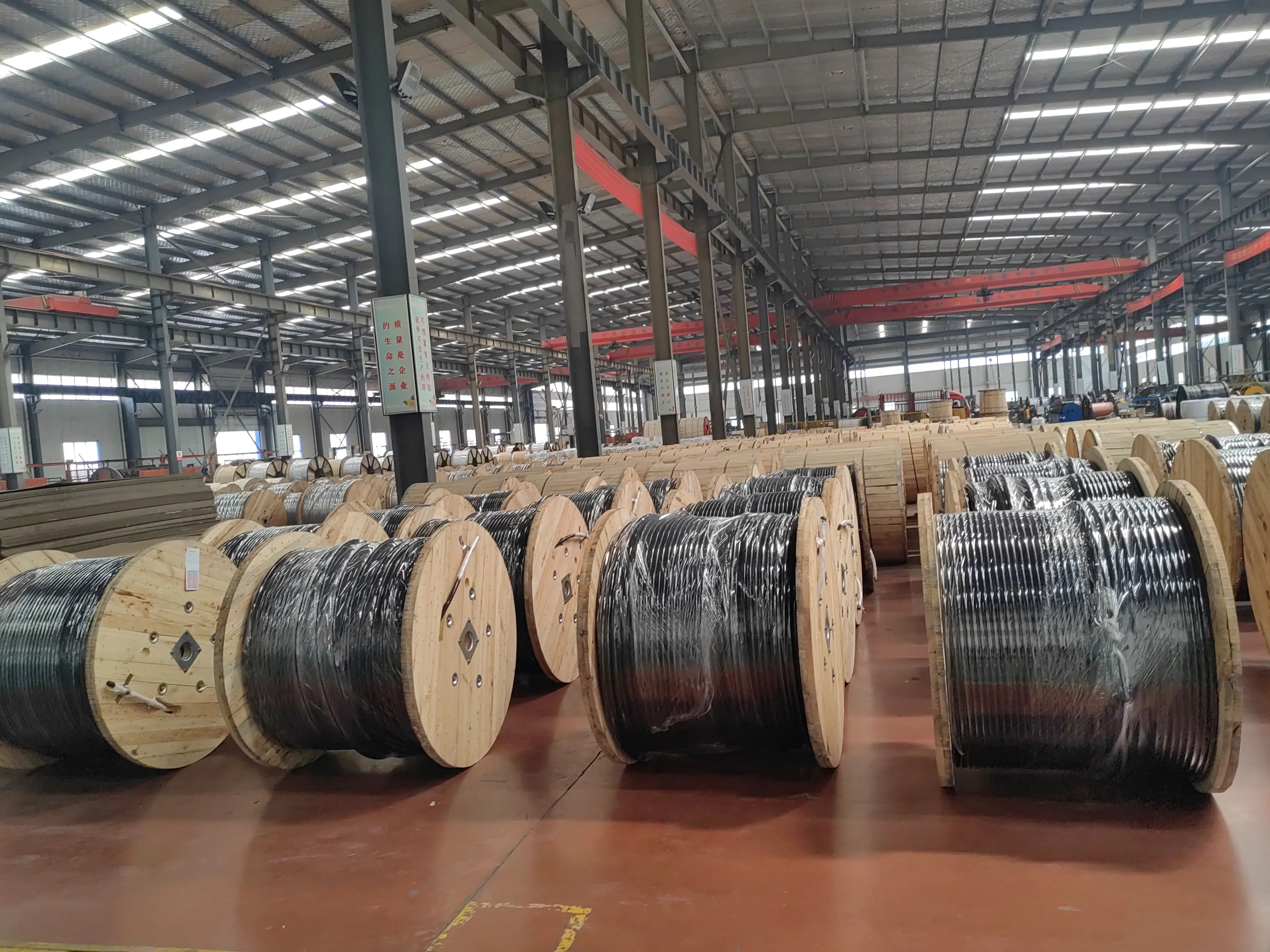 Tour Our State-of-the-Art ABC Cable Production Line