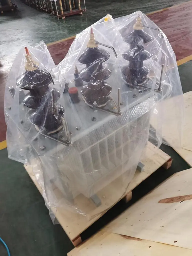 Strength testimony: Efficiently completed the manufacturing project of three-phase oil-immersed transformers